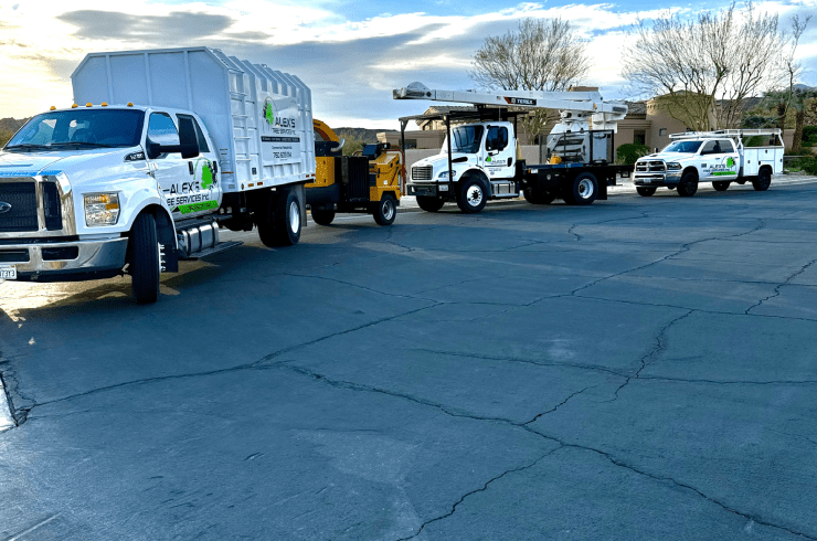 Alex's Tree Services