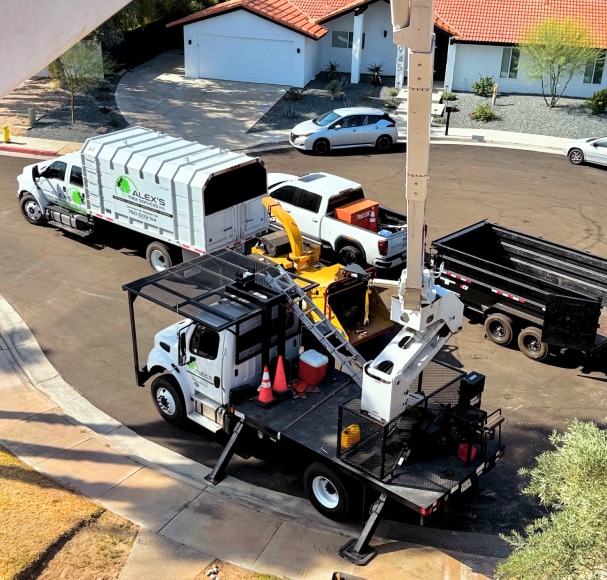 Service Image