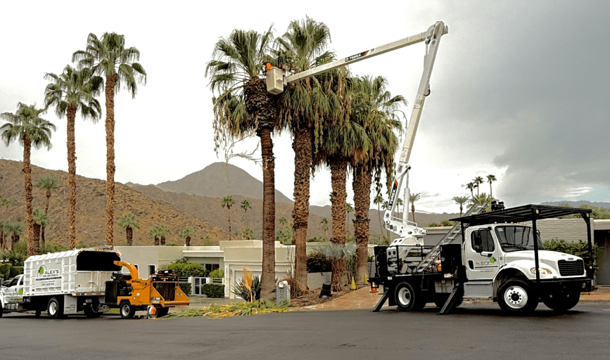 Alex's Tree Services